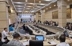 رییس فدراسیون کونگ فو: فارس ظرفیت میزبانی مسابقات بین المللی را دارد