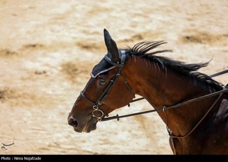 معرفی برترین‌های مسابقات بین‌المللی سوارکاری