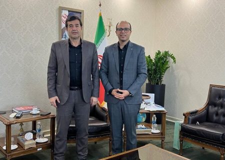 دیدار صدیقی با وزیر ورزش و جوانان؛ دنیامالی: نگاه ویژه‌ای به فدراسیون ووشو خواهیم داشت
