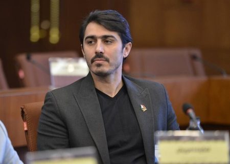 شیرآقایی: سال ۱۴۰۳ برای ووشو پر ترافیک بود