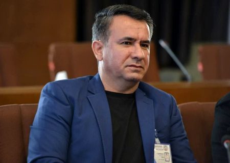 موحدنیا: ووشو باید به جایگاهی که لیاقتش را دارد برسد