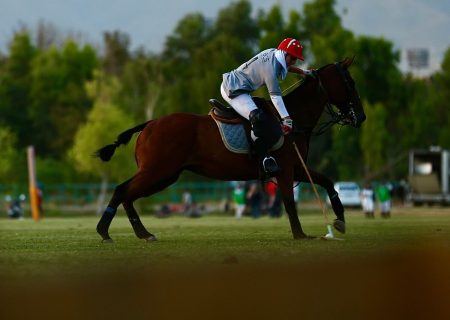یلدا نریمانی؛ستاره جوان چوگان ایران در قلب نقش جهان